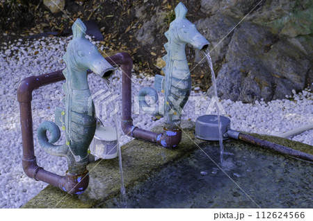 タツノオトシゴの手水 112624566