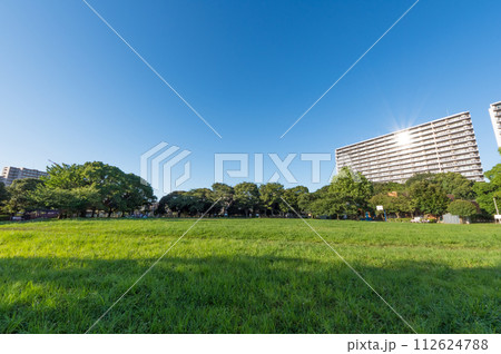 緑あふれる公園から見えるマンション 112624788
