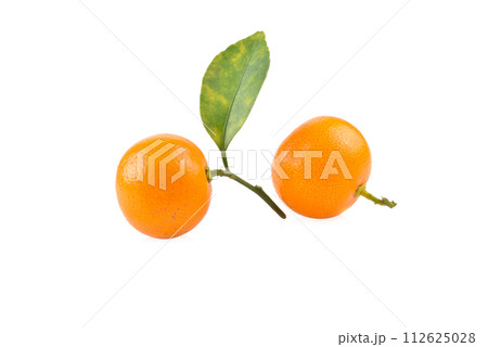 kumquat orange that placed on white background 112625028