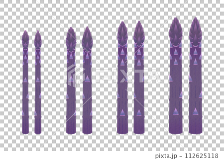 Purple asparagus 112625118