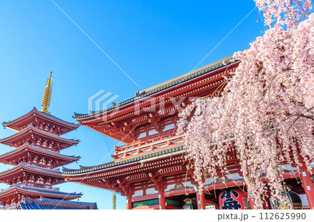 【東京の都市風景】浅草寺の桜 112625990