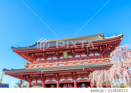 【東京の都市風景】浅草寺の桜 112626513