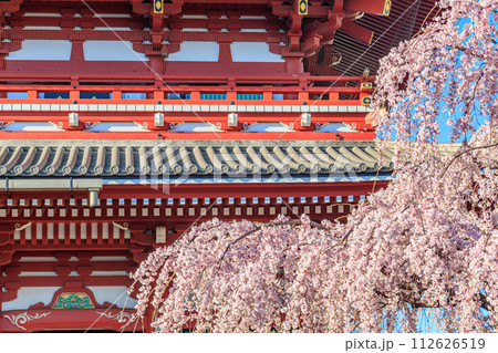 【東京の都市風景】浅草寺の桜 112626519