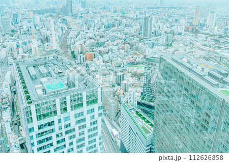 渋谷スカイから見た東京風景 112626858