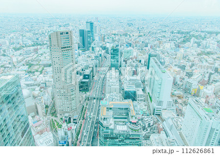 渋谷スカイから見た東京風景 渋谷スカイから見た東京風景 112626861
