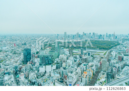 渋谷スカイから見た東京風景 112626863