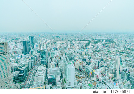 渋谷スカイから見た東京風景 112626871