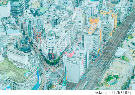 渋谷スカイから見た東京風景 渋谷スカイから見た東京風景 112626873