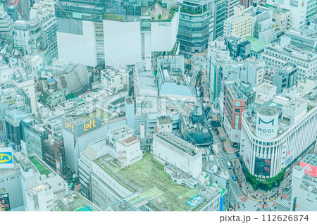 渋谷スカイから見た東京風景 渋谷スカイから見た東京風景 112626874