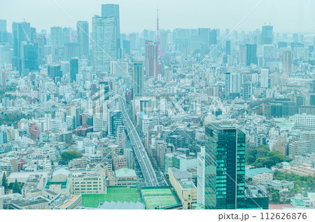 渋谷スカイから見た東京風景 渋谷スカイから見た東京風景 112626876