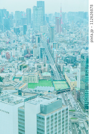 渋谷スカイから見た東京風景 渋谷スカイから見た東京風景 112626878
