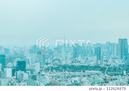 渋谷スカイから見た東京風景 渋谷スカイから見た東京風景 112626879