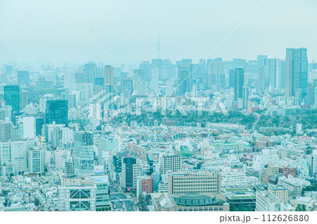 渋谷スカイから見た東京風景 112626880