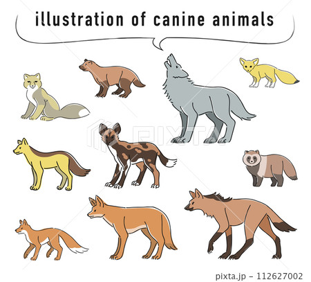 イヌ科の動物のイラストセット 112627002