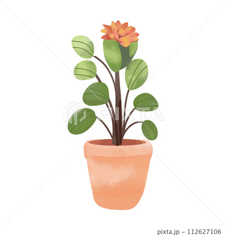 Flower in house plant pot isolated on white background. Hand drawn vector illustration. 112627106