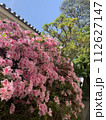 日本の風景　春の花 112627147