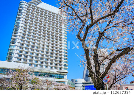 【神奈川の都市風景】みなとみらい周辺の桜 112627354