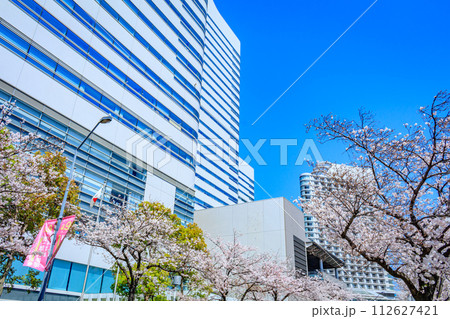 【神奈川の都市風景】みなとみらい周辺の桜 112627421
