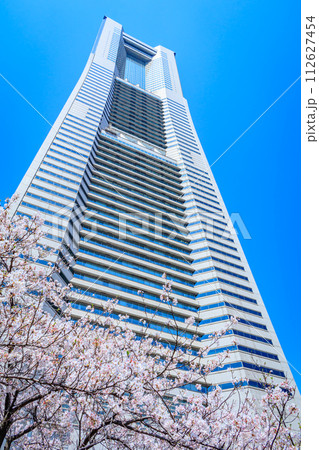 【神奈川の都市風景】みなとみらい周辺の桜 112627454
