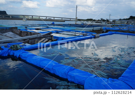浜比嘉島の養殖池 浜比嘉島の養殖池 112628214