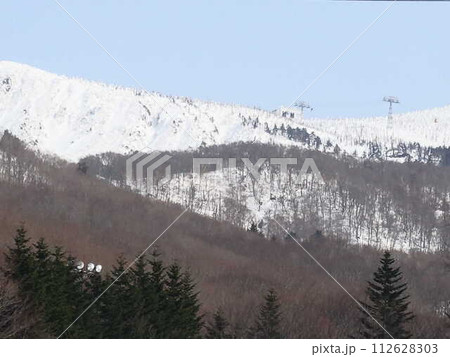 蔵王 蔵王温泉スキー場 地蔵山頂 樹氷原 樹氷 霧氷 蔵王 蔵王温泉スキー場 地蔵山頂 樹氷原 樹氷 霧氷 112628303