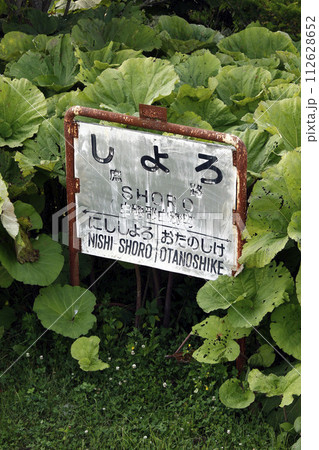 庶路駅　JR庶路駅　しょろ　Shoro　K49　根室本線　国鉄時代駅名板 112628652