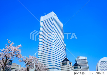 【神奈川の都市風景】みなとみらい周辺の桜 112628694