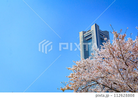 【神奈川の都市風景】みなとみらい周辺の桜 【神奈川の都市風景】みなとみらい周辺の桜 112628808