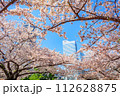 【神奈川の都市風景】みなとみらい周辺の桜 112628875