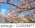 【神奈川の都市風景】みなとみらい周辺の桜 112628877