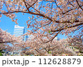 【神奈川の都市風景】みなとみらい周辺の桜 112628879