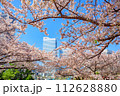 【神奈川の都市風景】みなとみらい周辺の桜 112628880