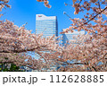 【神奈川の都市風景】みなとみらい周辺の桜 112628885