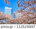 【神奈川の都市風景】みなとみらい周辺の桜 112628887