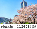 【神奈川の都市風景】みなとみらい周辺の桜 112628889
