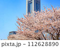【神奈川の都市風景】みなとみらい周辺の桜 112628890