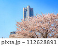 【神奈川の都市風景】みなとみらい周辺の桜 112628891