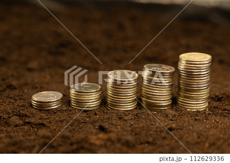 There are stacks of money coins on the black soil. Investment in land. Buying land for farming and making a profit. Money coins for land show profit from farming. 112629336