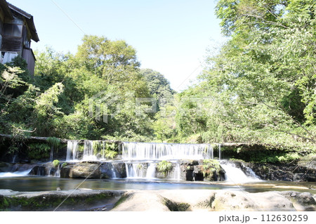 新緑に包まれた長野県茅野市の松川渓谷 112630259