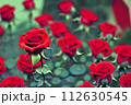 Red roses and green leaves. Beautiful delicate feminine colored spring or summer flowers close-up, generated by AI. Bouquet of flowers. Flowers in a flowerbed. Postcard, congratulations to a woman 112630545