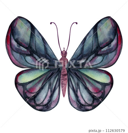 Hand drawn watercolor illustration butterfly fairy wings gem crystal insect moth. Tourmaline pearl labradorite opal. Single object isolated on white background. Design print, shop, wedding, birthday 112630579