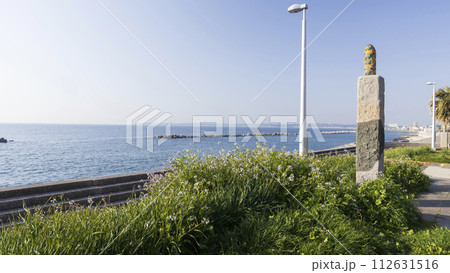 美しい海岸の風景 112631516