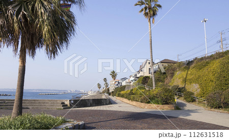 美しい海岸の風景 112631518