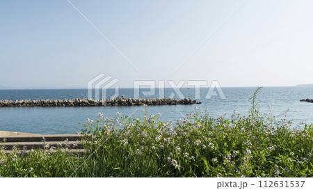 美しい海岸の風景 美しい海岸の風景 112631537