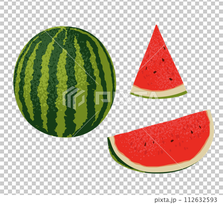 watermelon vector hand drawing illustration 112632593