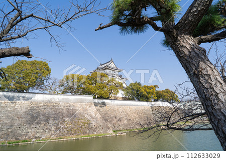 岸和田城 岸和田城 112633029
