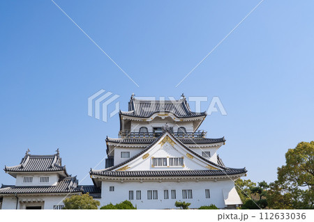 岸和田城の天守閣 112633036