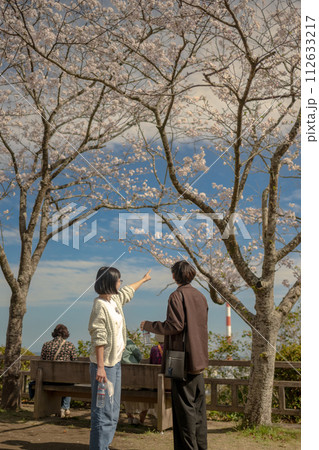 花見をする家族 112633217