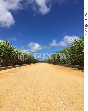 宮古島の青空とさとうきび畑と一本道 宮古島の青空とさとうきび畑と一本道 112633390