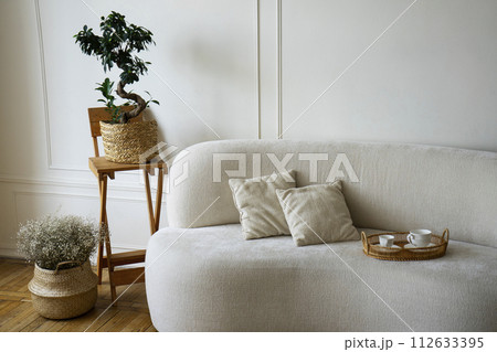 Room decor with potted plants and sofa Room decor with potted plants and sofa 112633395